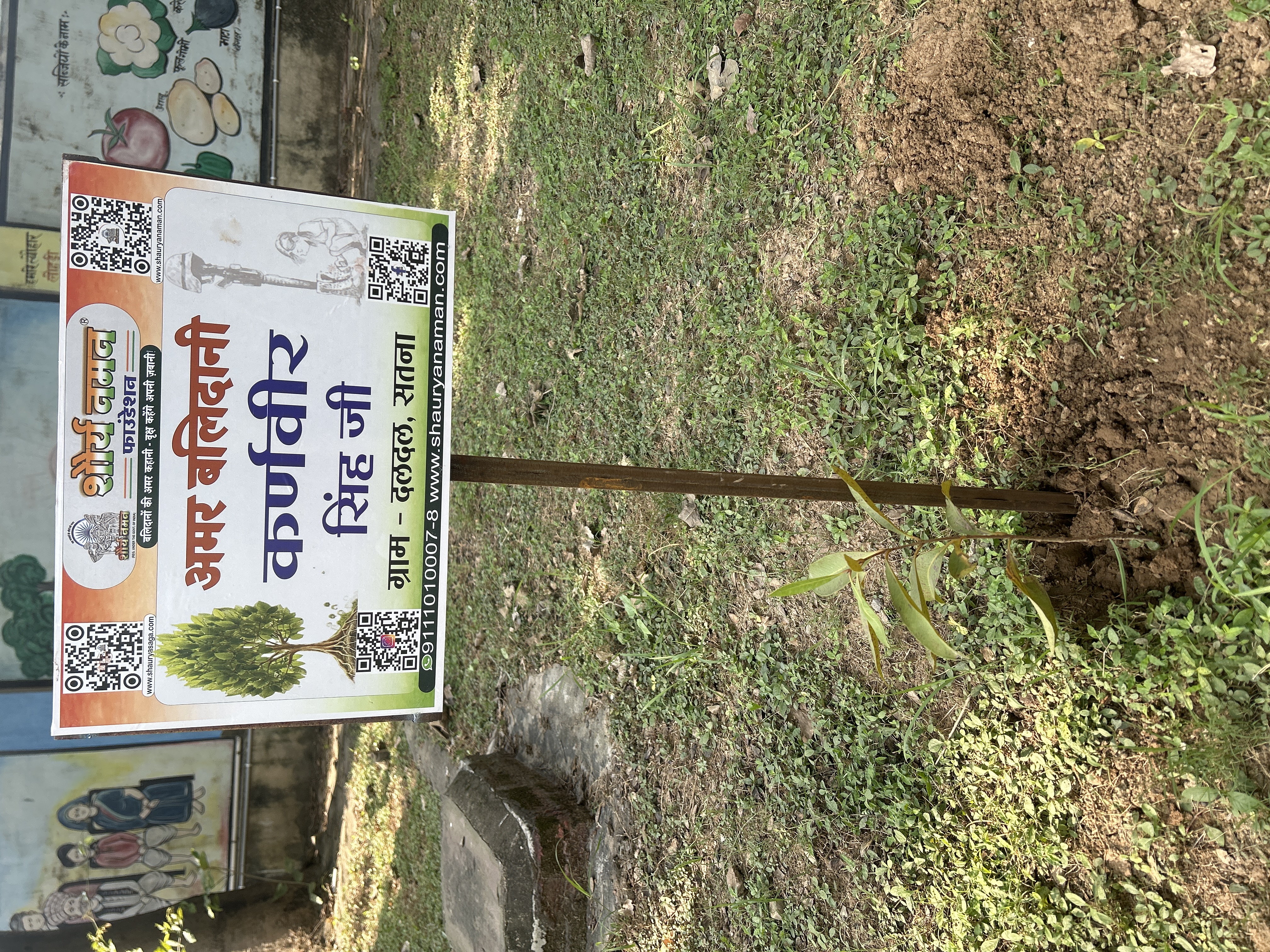 Jamun