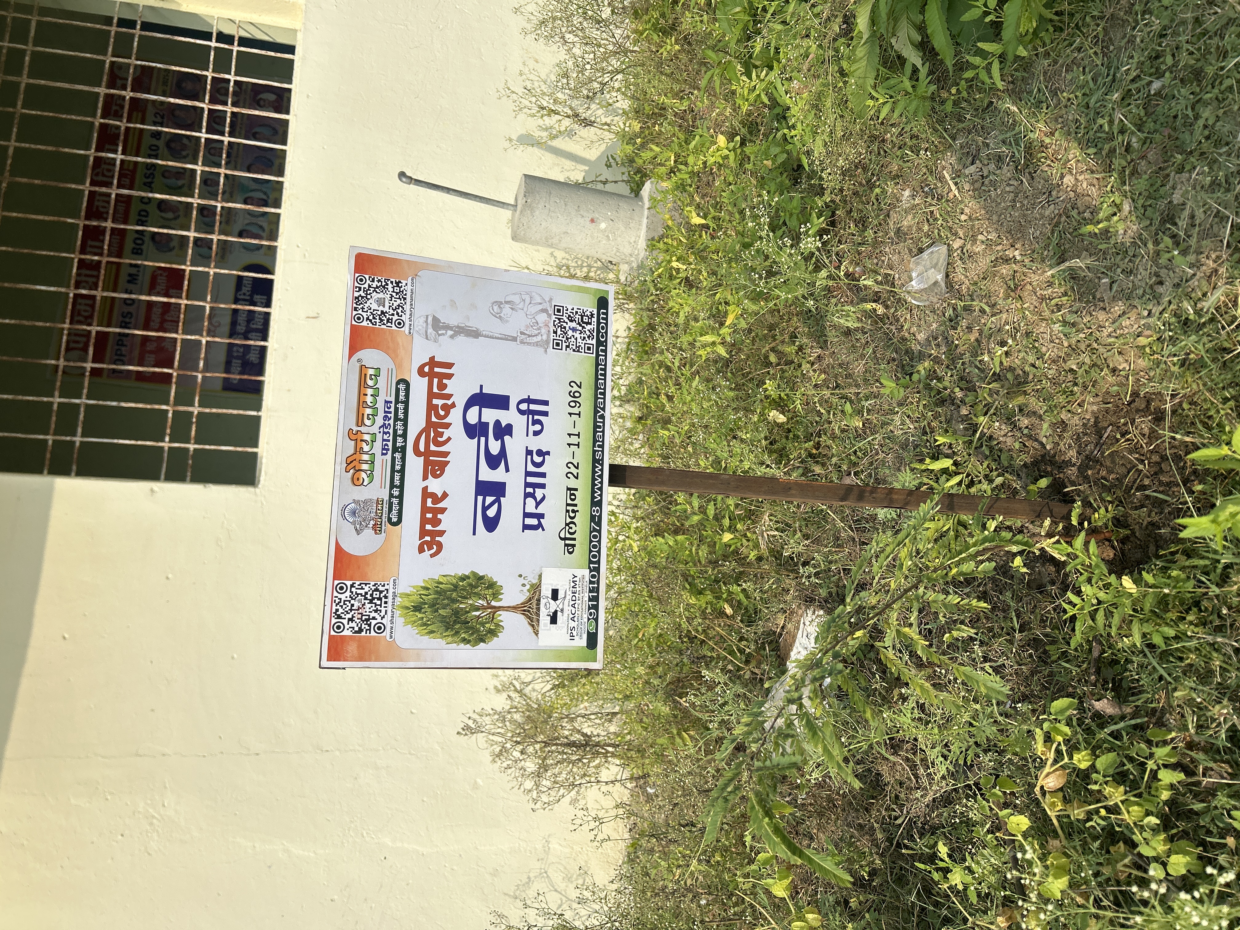 Aavala, jamun, Amrood 2, peepal